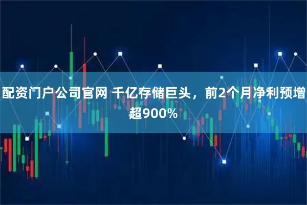 配资门户公司官网 千亿存储巨头，前2个月净利预增超900%