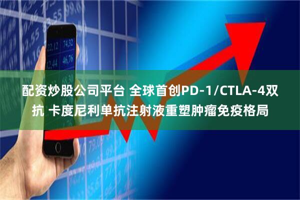 配资炒股公司平台 全球首创PD-1/CTLA-4双抗 卡度尼利单抗注射液重塑肿瘤免疫格局